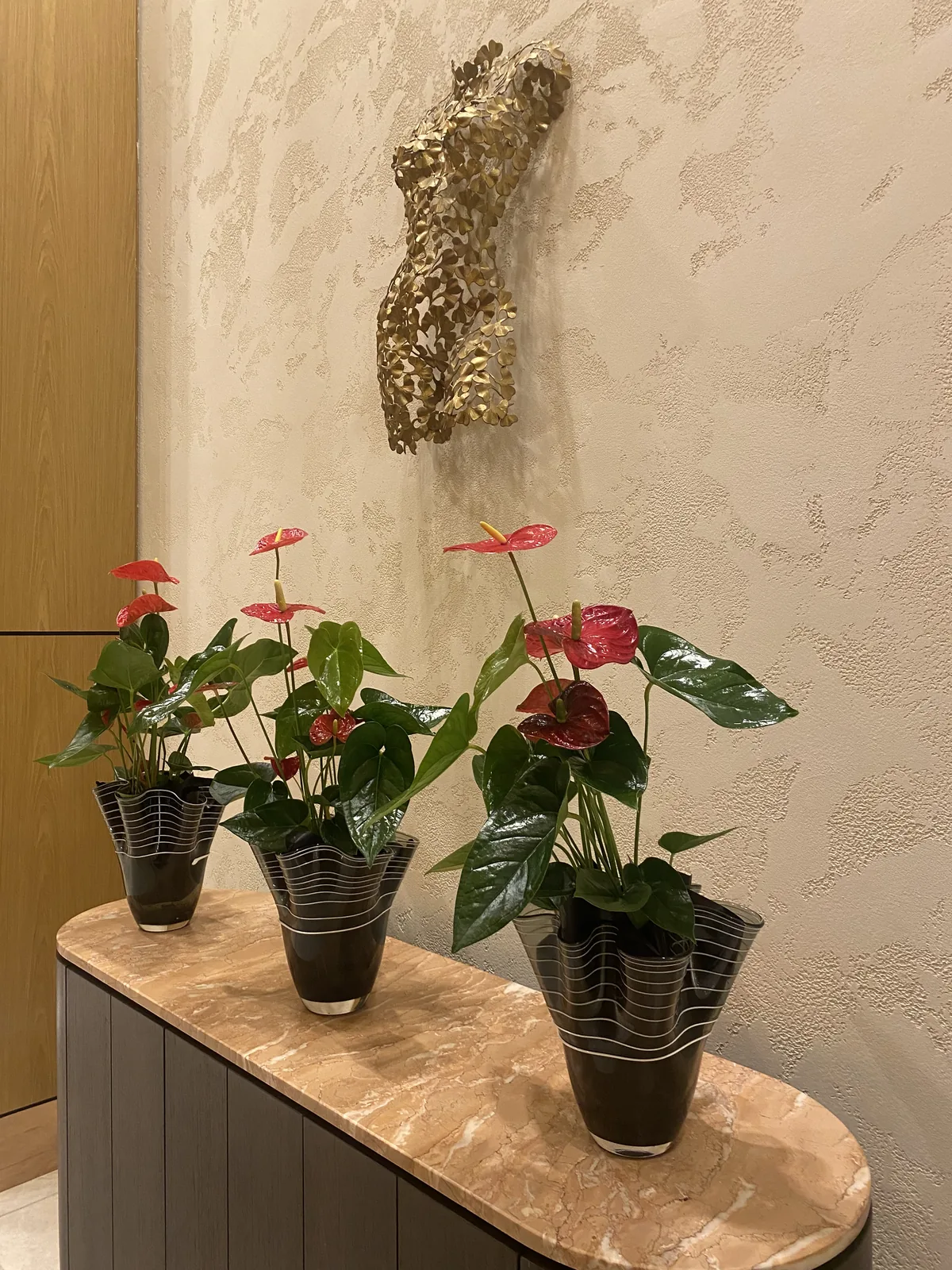 Rezidans lobisinde mermer konsol üzerinde üç kırmızı anthurium saksı bitkisi