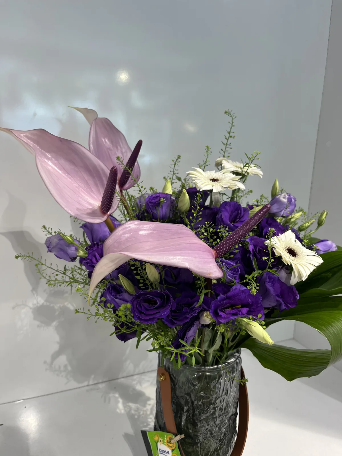 Gri deri kayışlı vazoda mor lisyantus, pembe anthurium ve beyaz gerbera aranjmanı